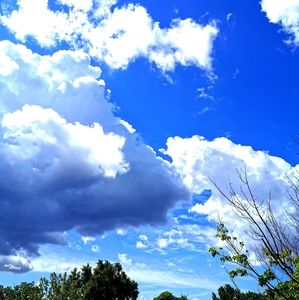 Meet your Posher, Voilà voilà